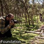 Фотофакт: Николай Миклухо-Маклай познакомился с кенгуру 