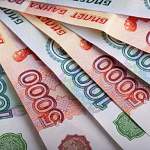 Бизнесмены из Новгорода и Боровичей получат льготные займы на свои проекты