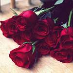 Мужчин, напавших на цветочный магазин в Боровичах, нашли пьяными в розах
