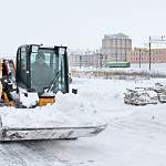 Бесснежная зима сможет порадовать только «Новгородское спецавтохозяйство»