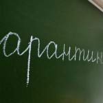 В Новгородской области три школы закрыты на карантин полностью, ещё шесть - частично