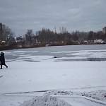 Спасатели МЧС спешат на помощь тонущей собаке в Великом Новгороде