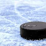 Хоккеисты из США задерживаются с вылетом на матч в Великий Новгород из-за непогоды
