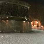 Фото: ночью в Новгородском кремле бродит лис-эстет