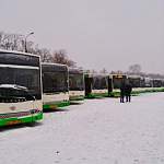 23 автобуса из Москвы выехали в Великий Новгород