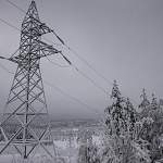 В четырех районах Новгородской области пострадало электроснабжение из-за снежного циклона