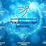 Новгородский благотворительный марафон «Рождественский подарок» поставил новый рекорд