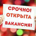 Актуальная пятерка новгородских вакансий: выпуск №2, 30 января