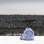 Фотофакт: зимний лес в национальном парке «Валдайский»
