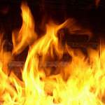 На пожаре в Парфинском районе погиб человек