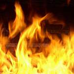 Пожар в деревне в Солецком районе унес жизнь человека