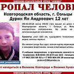 В Новгородской области пропал 12-летний мальчик