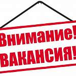 Актуальная пятерка новгородских вакансий: выпуск четвертый, 13 февраля