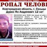 В Великом Новгороде полиция и волонтеры продолжают искать пропавшего мальчика из Сольцов