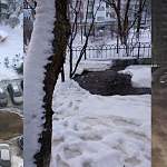 В одном из дворов Великого Новгорода припаркованные автомобили оказались в ледовом плену