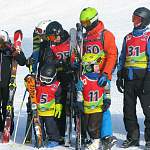 В Любытине планируют открыть детскую спортивную школу по горнолыжному спорту