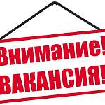 Актуальная пятерка новгородских вакансий (областной центр, Боровичи, Старая Русса). 1 марта