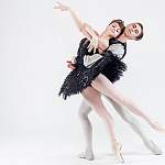 В Новгородской филармонии покажут балет «Лебединое озеро» с принцем – премьером Мариинки 