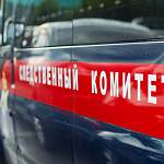СУ СК проверяет обстоятельства гибели девочки в Боровичском районе