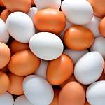 В Роспотребнадзоре советуют покупать к Пасхе правильные яйца