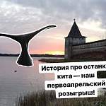 Первоапрельская шутка Кирилло-Белозерского музея-заповедника о позвонке древнего кита удалась 
