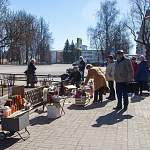 В Новгородской области выявлены нарушения при продаже рыбы