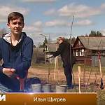 В Новгородской области по инициативе детей появится вишневый сад