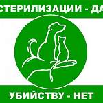 Бездомным животным Великого Новгорода больше не придется страдать