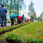 В международный день соседей новгородцы и общественники высадили цветы в парке Юности