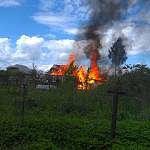 В поселке Парфино днем на глазах местных жителей сгорел дом