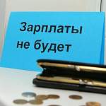 Завтра новгородские следком и трудинспекция проведут приём по невыплате зарплаты