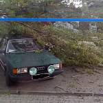 Фотофакт: в Великом Новгороде ветер повалил дерево на машины