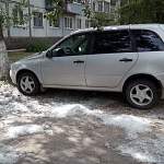Фотофакт: в Великом Новгороде - тополиный снег