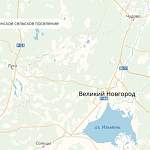 Новгородская область начеку из-за «чумных» кабанов в Лужском районе