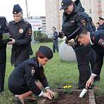 На новгородской площади генерала Филимоненко сегодня высадили цветы