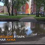 Видео: благоустроен ли парк «Луговой» на сегодняшний день?