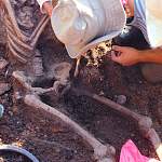 В Старой Руссе в ходе археологических наблюдений найдены останки солдата Красной Армии