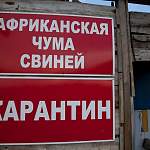 В Новгородской области в очаге АЧС продолжается охрана дорог и дезинфекция транспорта