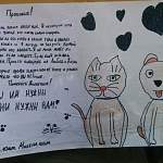 Рукописные плакаты новгородских девочек помогли бездомному животному обрести семью