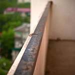В Новгородской области маленькая девочка выпала с балкона
