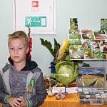 В Новгородской области в «Ветеранском подворье» участвуют и дети