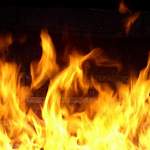 Ночью на пожаре в Солецком районе спасли женщину и дом неподалеку