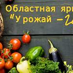 Новгородцы смогут купить качественную продукцию сельхозпроизводителей области
