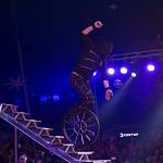 На гастролях цирка в Великом Новгороде госпитализирован артист Байк Мото Шоу