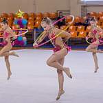 Фото: в Великом Новгороде соревновались гимнастки-художницы