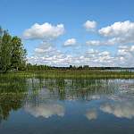 Новгородской области необходима поддержка минприроды для решения экологических проблем