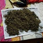 В парфинских лесах драгдилеры выращивали марихуану