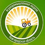 В Великом Новгороде поделятся секретами выращивания безвирусного картофеля
