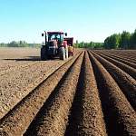 Фермерам дадут «Новгородский гектар»