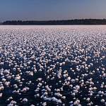 Фантастическое явление на Валдайском озере запечатлел фотограф Тимофей Шутов